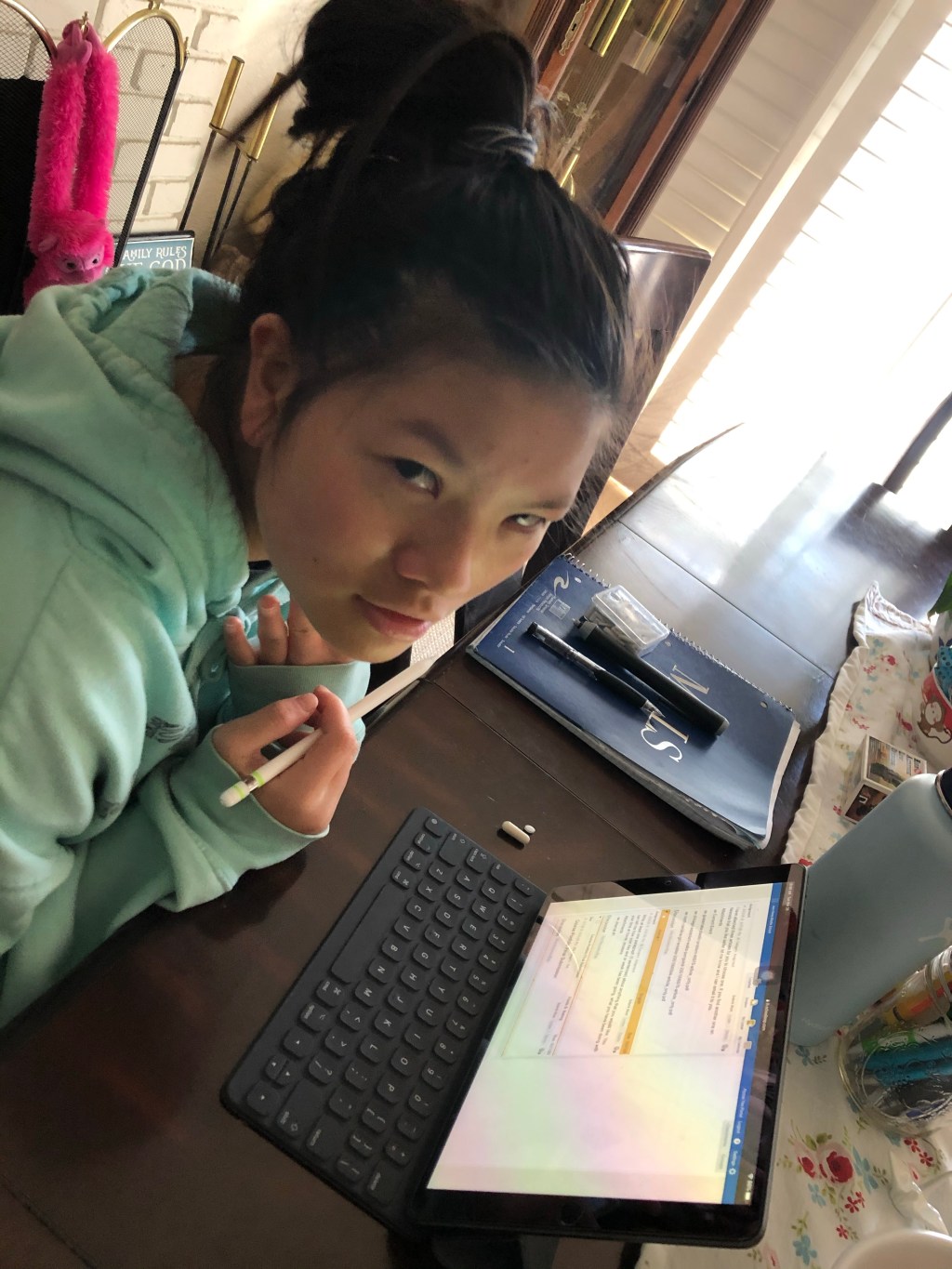 Joy In the&nbsp;Schooling